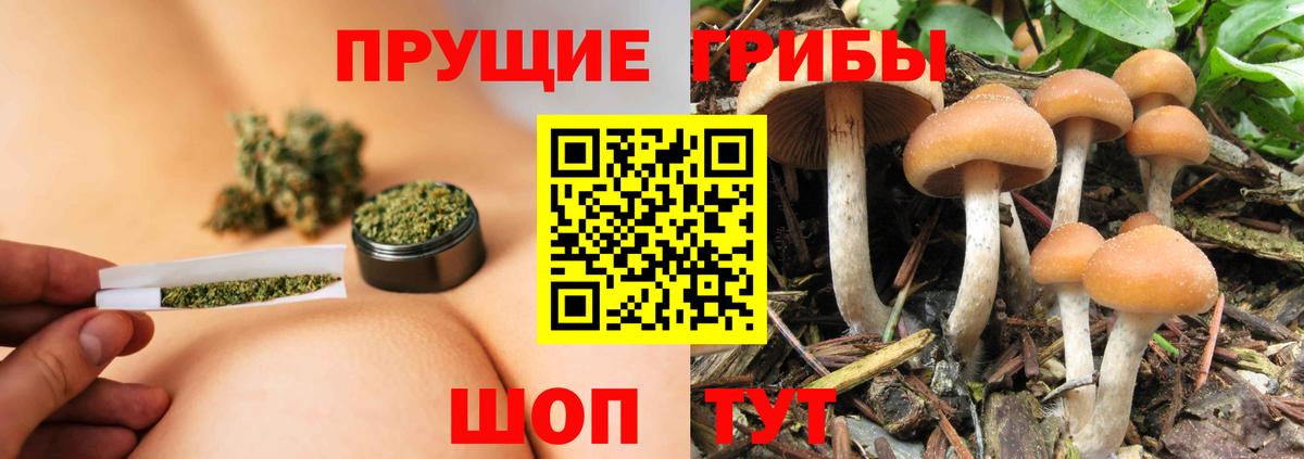 Галлюциногенные грибы GOLDEN TEACHER  Вход с VPN  Семилуки  Галлюциногенные грибы мицелий 